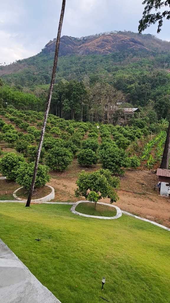 A breathtaking view of the hill range at Rock Pond Shore