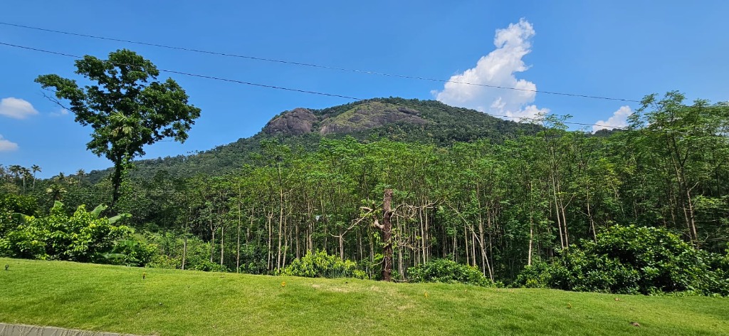 A grand view of the hills overlooking the forest canopy