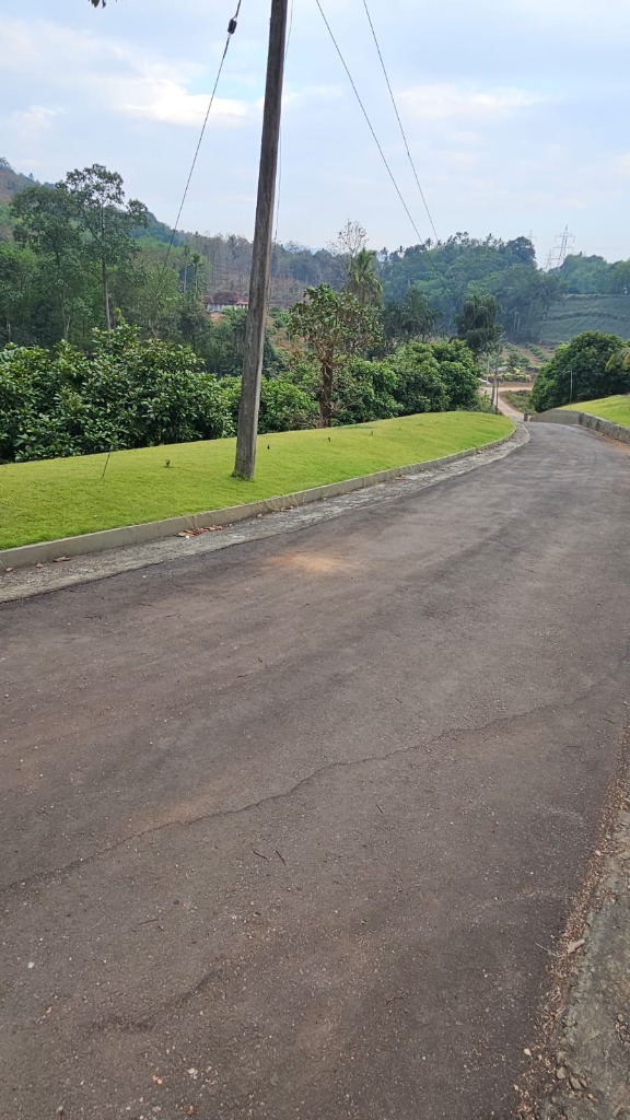 A serene curving pathway leading to the estate lawns